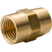 Laiton jaune barres 1/4" raccord Npt femelle, qté par paquet : 50
