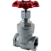 1 In. Stainless Steel Gate Valve - 200 PSI