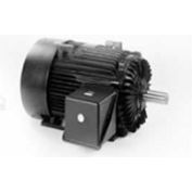 Marathon Motors Severe Duty Motor, E641, 326TTFS6576, 30HP, 460V, 1200RPM, 3PH, 326T FR, TEFC