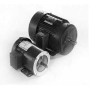 Marathon Motors Centrifugal Pump Motor, J061, 1/2HP, 208-230/460V, 3600RPM, 3PH, 56J FR, TEFC