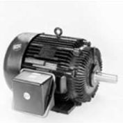 Marathon Motors Moteur de service sévère, W534, 256THFNA9101, 7,5HP, 460V, 900RPM, 3PH, 256T FR, TEFC