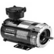 Marathon Motors Inverter Duty Motor, Y602, 56H17E5303, 1/2HP, 230/460V, 1800RPM, 3PH, 56C, EPNV