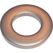 Heavy Duty rondelle plate - 13/8" de diamètre extérieur - 1/8" Thick - acier inoxydable - paquet de 10 - 3/16" TW-2SS