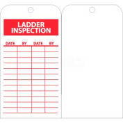 NMC RPT168 Tags, Ladder Inspection, 6" X 3", White/Red, 25/Pk