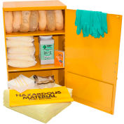 Wall Mount Spill Containment Cabinet, X-Large, 24"W x 12"D x 35"H, Aggressive