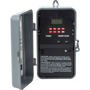 NSI TORK® DGM100A 7 Day Digital Timer w/Holiday & Mommentary Output, 1 Chan, 20A, 120-277V 