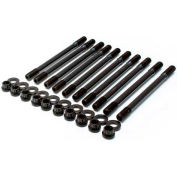 Le Nord-Ouest 39 Pc T-Nut & Stud Set 5/16"-18 pour les 3/8 » Slot
