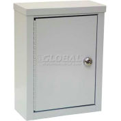 Omnimed® Wall Storage Cabinet, Ambi-Top, 1 Adjustable Shelf, 9"W x 4"D x 12"H, Grey