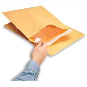 Bubble Padded Bag - #00 - 5" x 10" - 250 Per Case