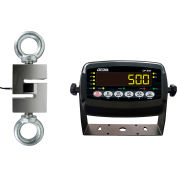 Optima LED Digital suspendus à l’échelle 10 000 lb x 2lb