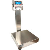 Série Optima 915 NTEP inox banc balance numérique avec écran LCD 20 "x 16" plate-forme