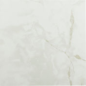 Achim Sterling Carrelage de sol en vinyle autocollant 12 » x 12 », blanc classique avec veines grises, paquet de 20