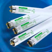 Sylvania 22184 Fluorescent T8 Fo28/850xp/Ss/Eco3 T8 Bulb, qté par paquet : 30