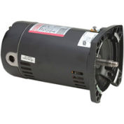 Siècle USQ1152, moteur de filtre de piscine haut-évalué - 115/230 Volt 3450 tr/min