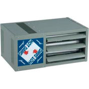 Modine Hot Dawg® Natural Gas Fired Unit Heater Low Profile 125000 BTU Separated Combustion