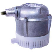 Pompe  de machine à laver des pièces submersible Little Giant 501036, 230 V, 205 gallons par heure à 1 pi 