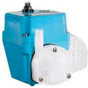 Petite pompe submersible Little Giant 502103 2E-N, 115 V, 300 gal/h à 1 pi