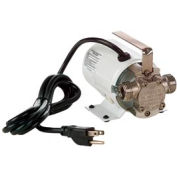 Tête de pompe Little Giant 555110 Non Submersible utilitaire pompe-115V avec SSTL