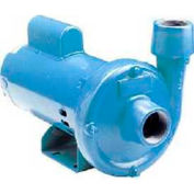 Petite géante en fonte CP-075-C 558241 & fin d’aspiration pompe centrifuge - 115/230V-55 GPM-3/4 HP