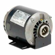 US Motors Pump, 1/3 HP, 1-Phase, 1725 RPM Motor, 1003