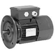 US Motors Brake, 0,5 HP, 3-Phase, 1720 RPM Motor, BR12S2AC3