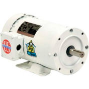 US Motors Washdown, 3 Phase, 3 HP, 3-Phase, 3450 RPM Motor, WD3P1A14C