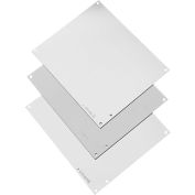 Panneau de A24P24 Hoffman, NEMA 12 / 21 h 00 x 21 h 00, s’adapte 24 X 24, acier/blanc