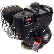 Briggs & Stratton 19N132-0051-F1, modèle 19 Troy-Bilt Tiller, axe Horizontal