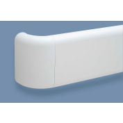 Pawling® BR-500P-12-718 PETG Crash Rail-Type Handrail, 12' x 1-1/2" x 1-1/2" x 5-1/2"