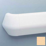 Flex-Action Triangular Handrail/Wall Guard, 5 3/8" Face, Aluminum Retainer, 12' Long, Silkworm
