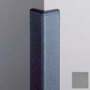 Baguette d'angle, 90°, fixation en surface, ailes de 2 po, 4 po H avec capuchons, grise