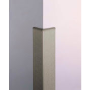 Pawling® CGP-10-4-3 Surface Mounted Corner Guard PETG Over Aluminum, 3" Wing x 4', 90°