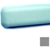 W/arrondi haut de mur garde & bords inférieurs, dispositif de retenue en aluminium, 2-516" H x 12' L, gris