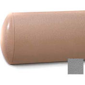 Mur en forme croissant W/Rec. Clip plastique retenue système Guard, 5" H x 12' L, gris