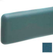 Wall Guard W/Rounded Top & Bottom Edges, Aluminum Retainer, 6"H x 12'L, Alexis Blue