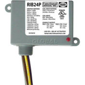 RIB® joint RIB24P relais de puissance, 20 a, DPDT, 24VAC/DC