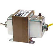 RIB® Transformer TR100VA002, 100VA, 120-24V, Dual Hub, Foot Mount, Circuit Breaker