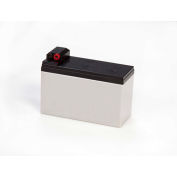Systèmes de mesure International Port-A-pesage batterie Rechargeable