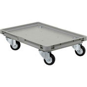 Schaefer Mobile Base for Polypropylene Industrial Containers RO461 - 24"L x 15"W x 5"H - Gray