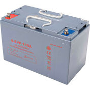 Batterie AGM de remplacement 12V 100Ah - 641263, 641264, 641244, 641265, 641407