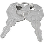 Replacement Keys For Inner Door of Global Industrial Narcotics Cabinet 436952, 2pcs Key# 156