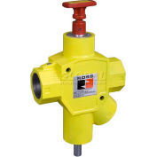 Ross®-YD1523C9012 Valve manuelle verrouillage pneumatique, 2" BSPP