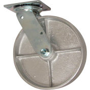 RWM roulettes 46 série 8" fonte roue roulette pivotante - 46-CIR-0820-S