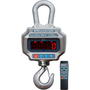Balance électronique grue Brecknell BCS avec télécommande, lisibilité lb 6000 lb capacité x 2