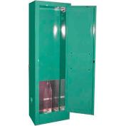 Securall® 2, D & E Cylinder, Vertical Medical Gas Cabinet, 14"W x 9"D x 44"H, Manual Close