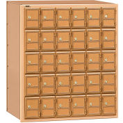 Aluminum Americana Mailbox 2130RL - 30 Doors, Rear Loading, Private Access, Brass
