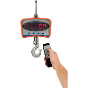 Brecknell série CS grue Digital Scale, 2 000 lb x 1lb