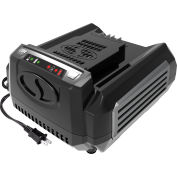 Snow Joe - Sun Joe iON100V-RCH Chargeur rapide pour 100-Volt iON100V Outils