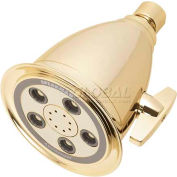 Speakman Anystream® Hotel 5-Jet 4-1/4" Dia. Shower Head, Polished Brass Finish, 2.5 GPM