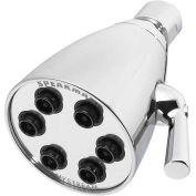 Speakman Anystream® Icon 6-Jet Shower Head, Polished Chrome Finish, 2 GPM